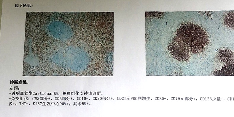 C:\Users\ADMINI~1\AppData\Local\Temp\WeChat Files\7d1df8a264dbea24fa84437d4404cc6.jpg
